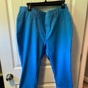 NWT Stretchy Capris Light Blue Size 1X Terra & Sky